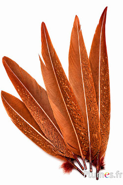 Zilverfazant met glitters - 32-38 cm - azteekgoud